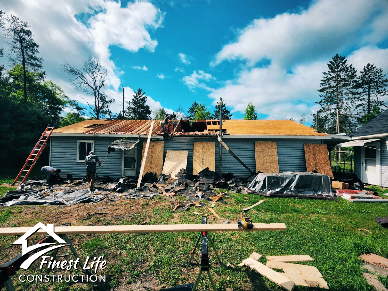 Roof, Roof Repair, Tree Damage